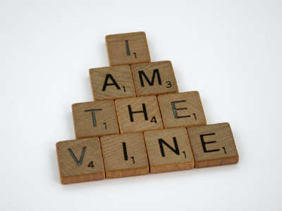 iamthevine 400x300